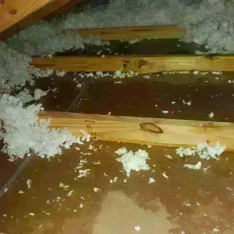 Attic Water Damage in Fort Kent, ME